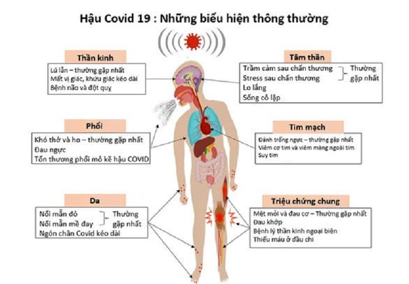 Thực phẩm bồi dưỡng sức khỏe hậu COVID -19