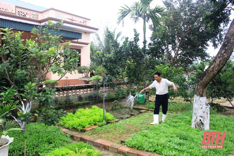 Sắc xuân trên những vùng quê nông thôn mới kiểu mẫu