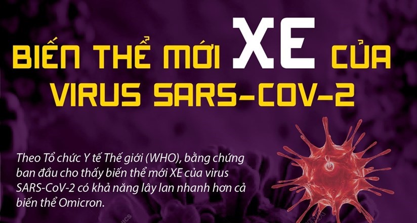 Biến thể mới XE của virus SARS-CoV-2