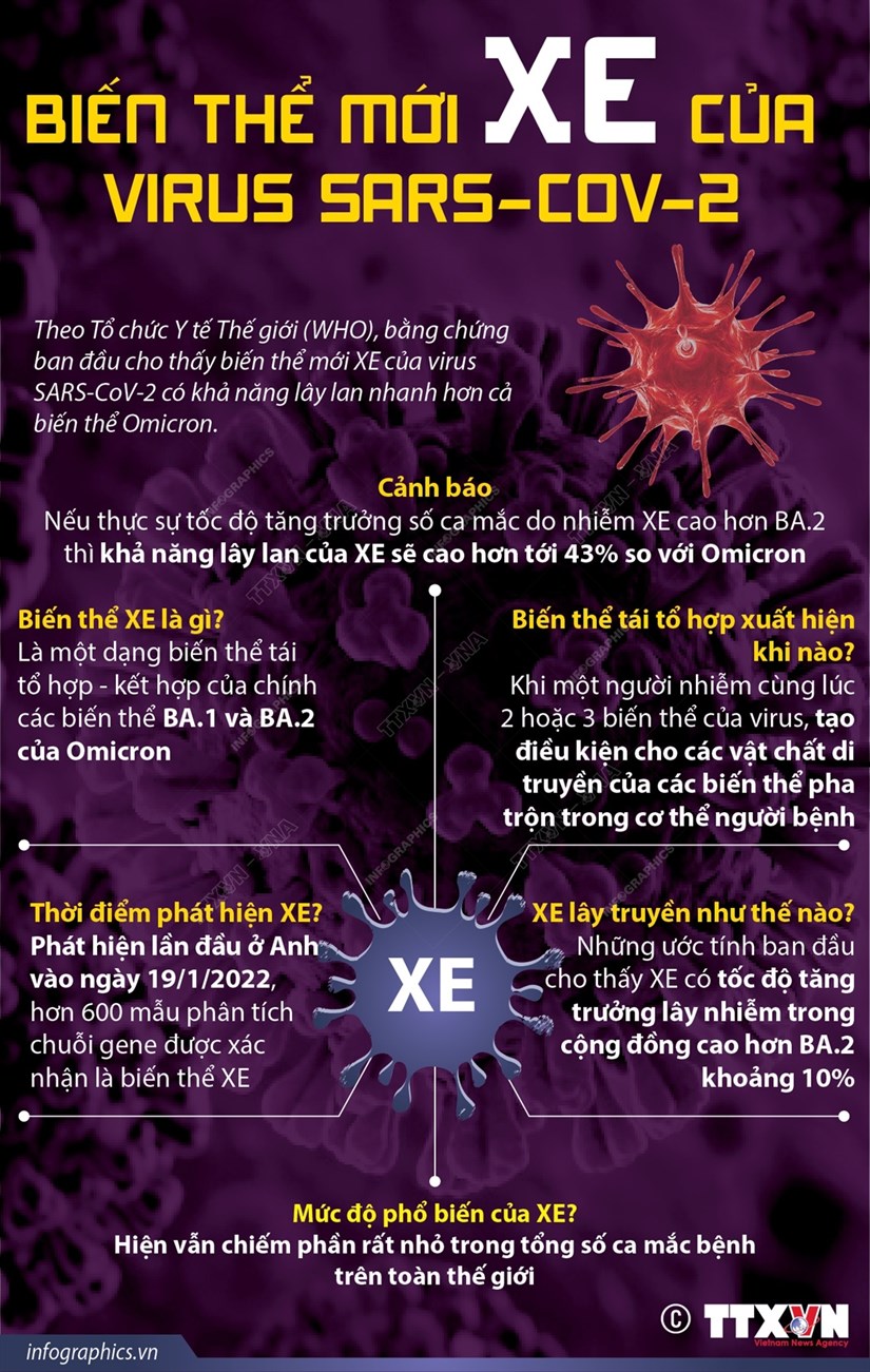 Biến thể mới XE của virus SARS-CoV-2