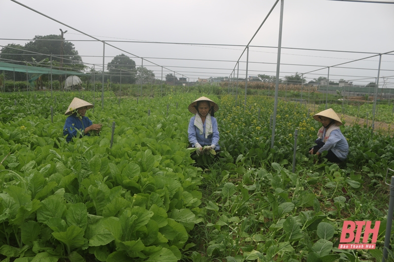 Lan tỏa các phong trào thi đua yêu nước ở huyện Đông Sơn