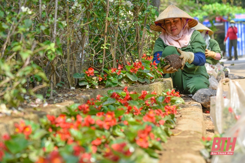 Gấp rút chuẩn bị cho Lễ hội Tình yêu Hòn Trống Mái 2022