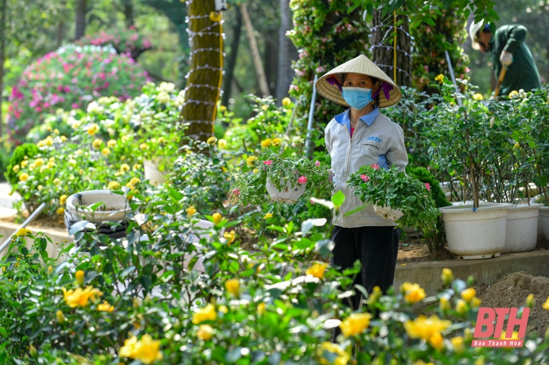 Gấp rút chuẩn bị cho Lễ hội Tình yêu Hòn Trống Mái 2022