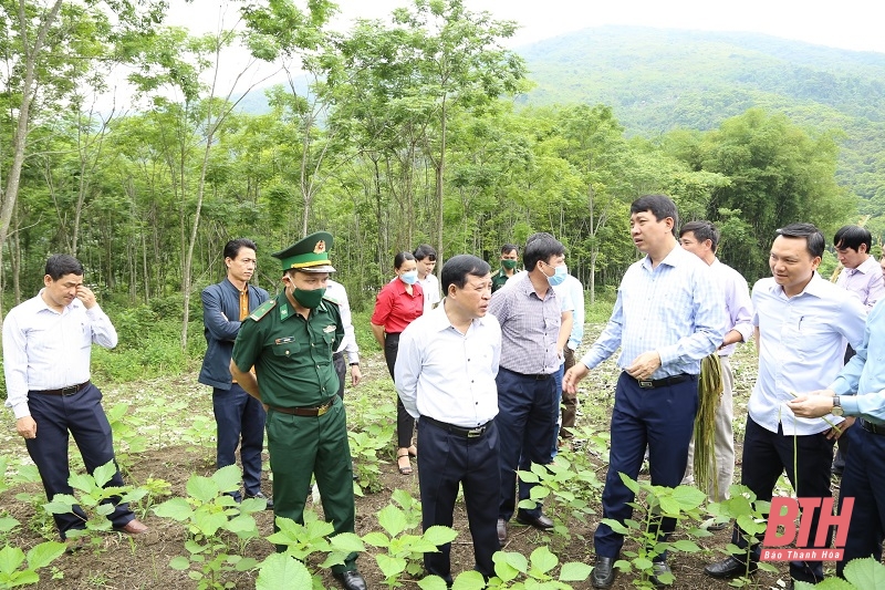 Ban Chỉ đạo 901 tỉnh Thanh Hoá khảo sát thực tế tại huyện Mường Lát