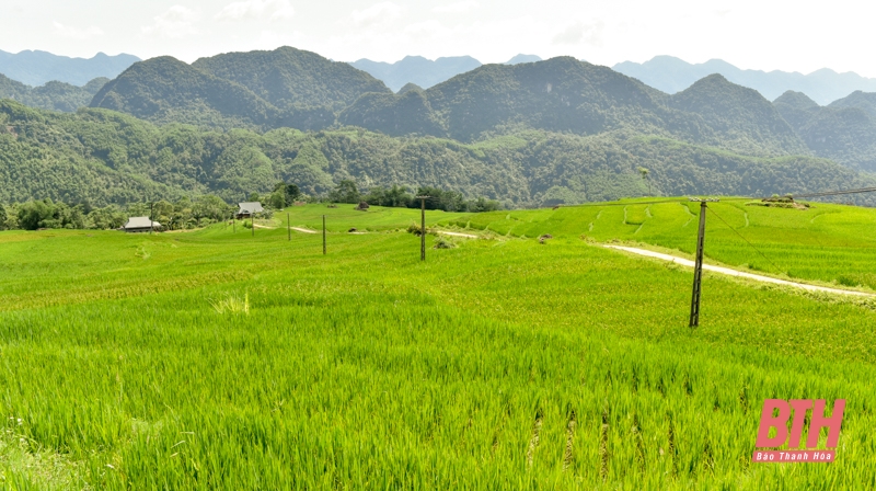 Pù Luông chuẩn bị vào mùa đẹp nhất trong năm