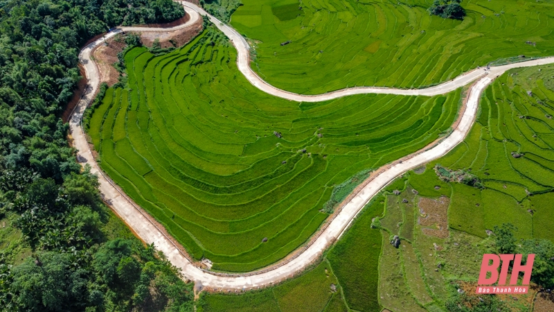 Pù Luông chuẩn bị vào mùa đẹp nhất trong năm