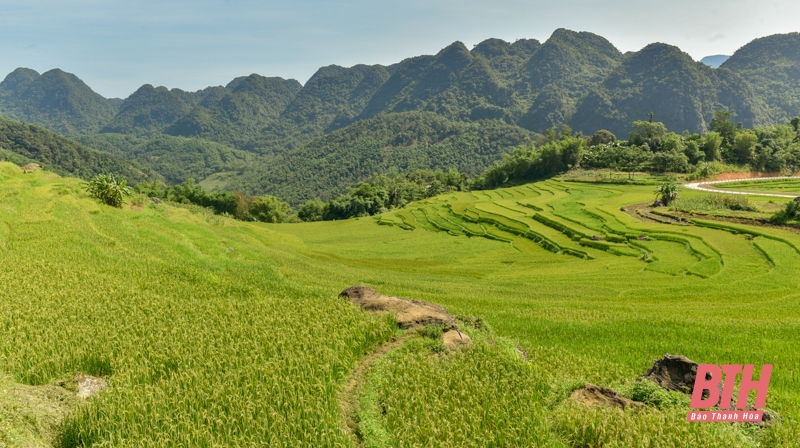 Pù Luông chuẩn bị vào mùa đẹp nhất trong năm