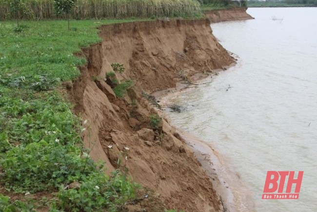 Ban Thường vụ Huyện ủy Thiệu Hóa kỷ luật các cá nhân để xảy ra tình trạng khai thác cát trái phép