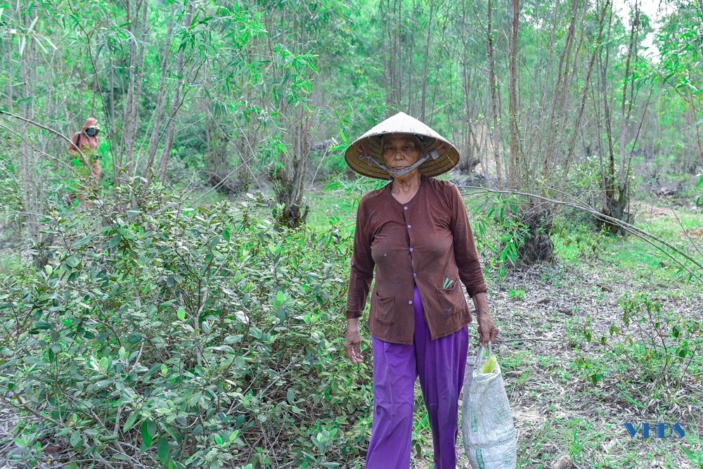 Mùa săn “lộc rừng” ở Trà La