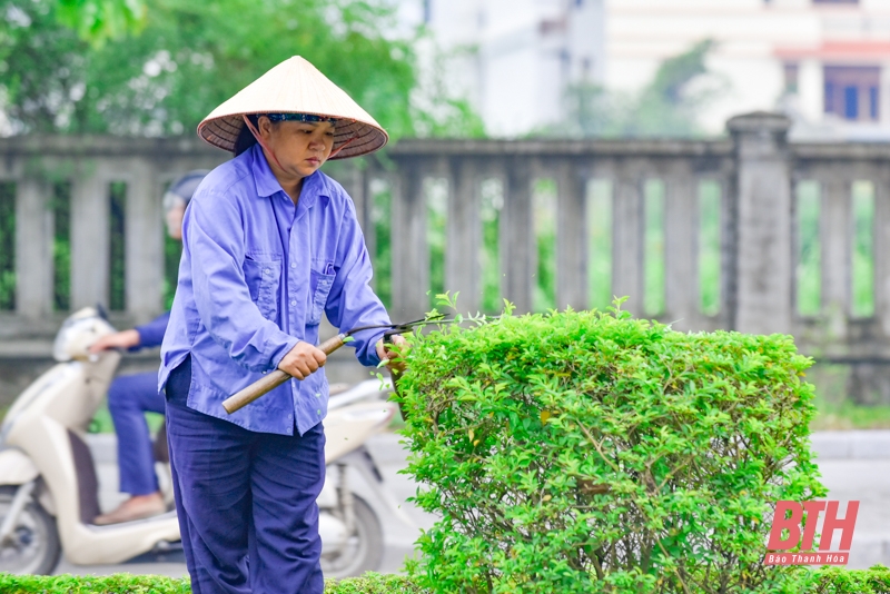 Đường phố Thanh Hóa rợp màu cờ đỏ chào mừng Ngày Quốc khánh 2-9