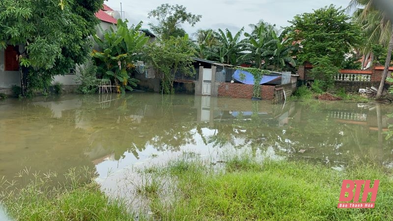 Đợt mưa diện rộng kéo dài gây hệ lụy nhiều nơi