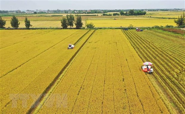 Ngày Lương thực thế giới năm 2022: Để không ai bị bỏ lại phía sau