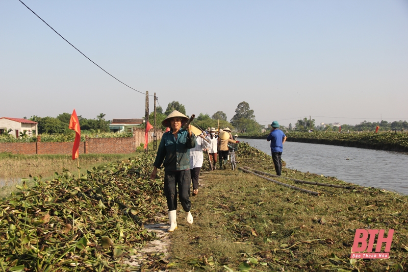 Hậu Lộc ra quân giải toả vi phạm hành lang bảo vệ công trình đê điều và thuỷ lợi