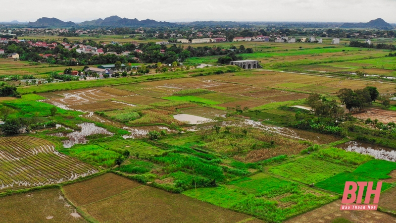 Về Tây Đô thăm đền thờ nàng Bình Khương