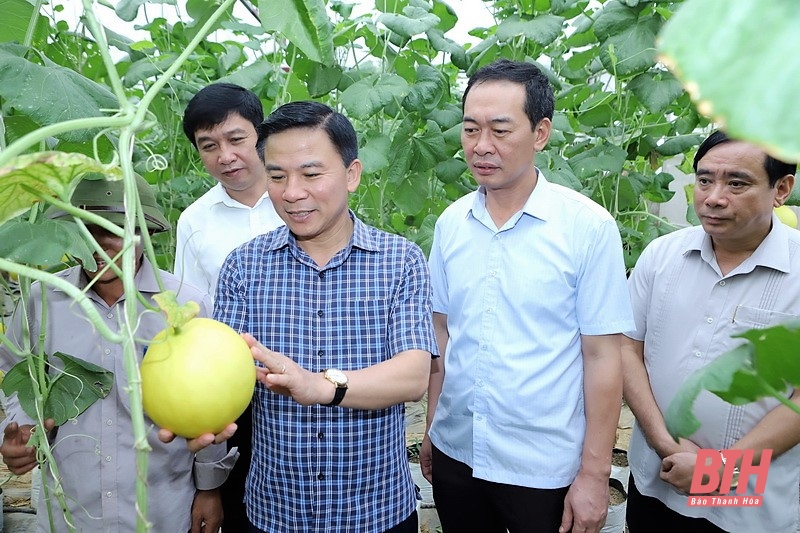 Lãnh đạo, chỉ đạo đẩy mạnh phát triển nông nghiệp sạch, nông nghiệp hữu cơ, nông nghiệp tuần hoàn trên địa bàn tỉnh