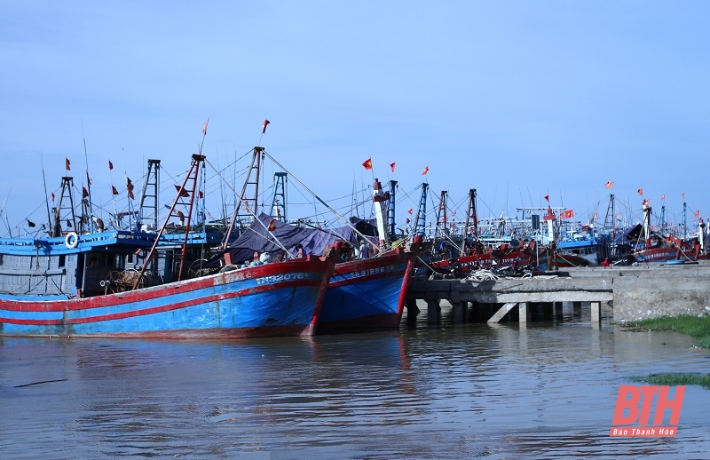 Công khai danh sách 354 tàu cá có nguy cơ cao vi phạm khai thác IUU