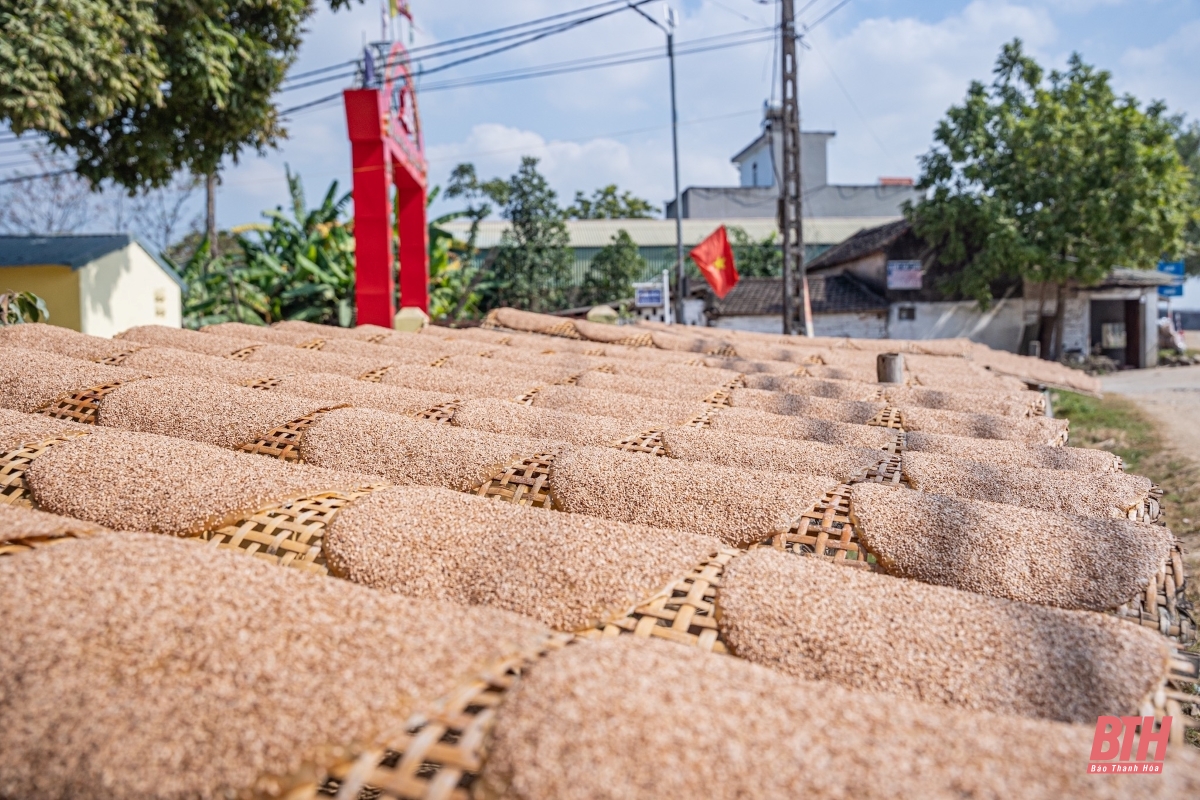 Làng nghề bánh đa hơn 100 tuổi vào vụ Tết 