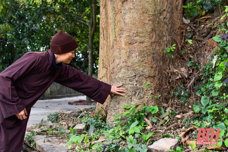 Khánh đá cổ tiếng vang như chuông đồng trong ngôi chùa nghìn năm tuổi ở xứ Thanh