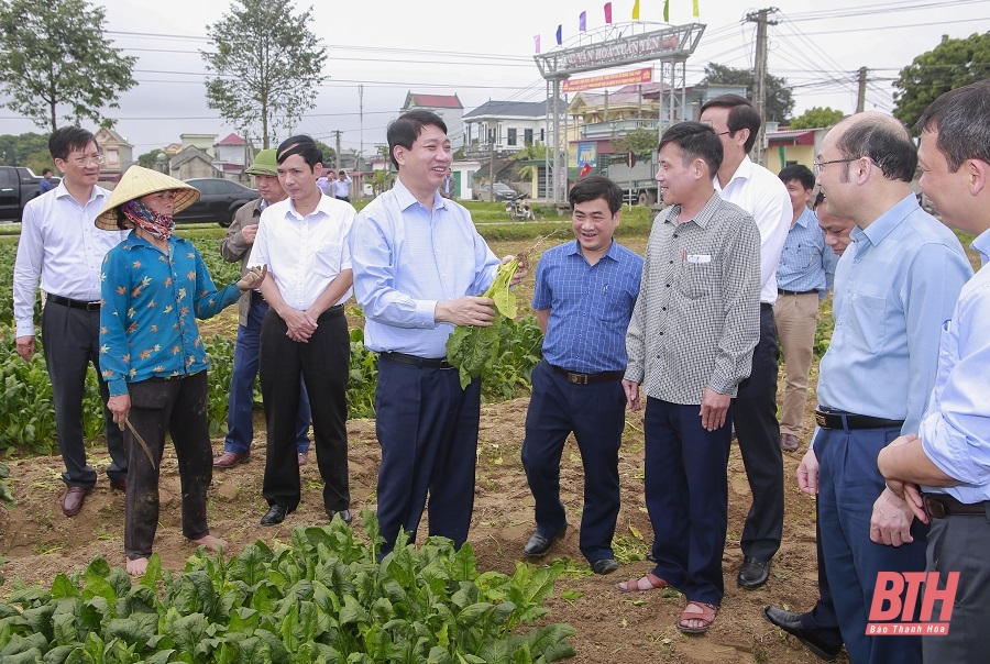 Phó Chủ tịch UBND tỉnh Lê Đức Giang thăm một số mô hình sản xuất nông nghiệp hiệu quả tại Hậu Lộc và Hoằng Hóa