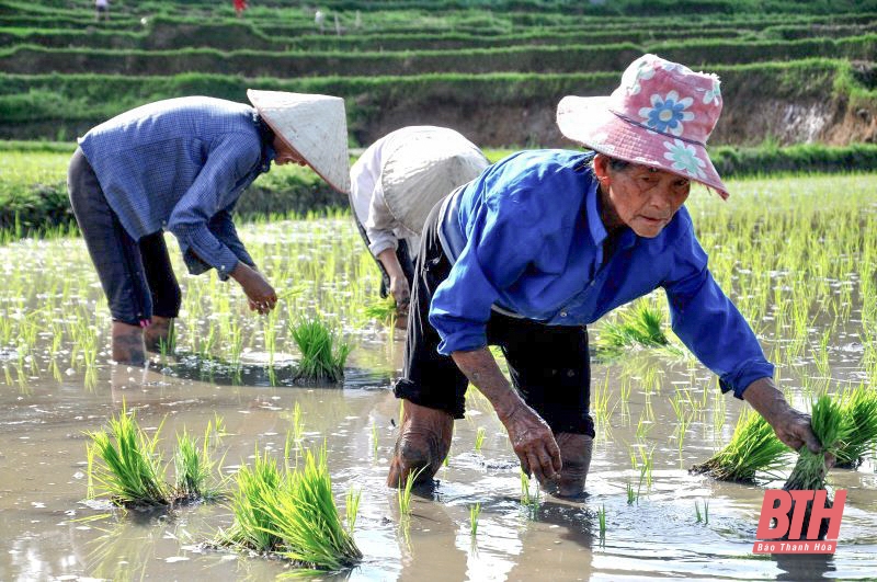 Những “cỗ máy thủy lợi” khổng lồ ở vùng cao xứ Thanh