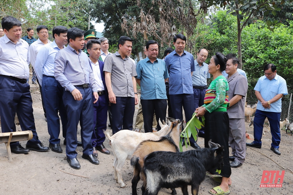 Hình ảnh Đoàn Bộ trưởng Bộ Nông nghiệp và Phát triển Nông thôn và lãnh đạo tỉnh thăm một số mô hình phát triển kinh tế tại Mường Lát