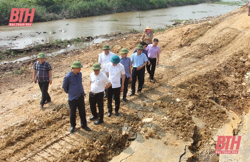 Khẩn trương tìm nguyên nhân và giải pháp khắc phục sự cố sạt lở đê tả sông Càn