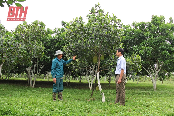 Hội Nông dân huyện Hậu Lộc xây dựng tổ chức hội và phong trào nông dân ngày càng vững mạnh