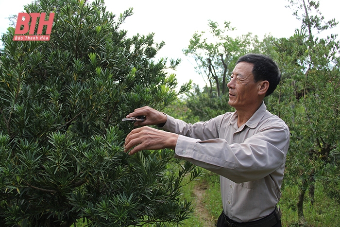 Hội Nông dân huyện Hậu Lộc xây dựng tổ chức hội và phong trào nông dân ngày càng vững mạnh