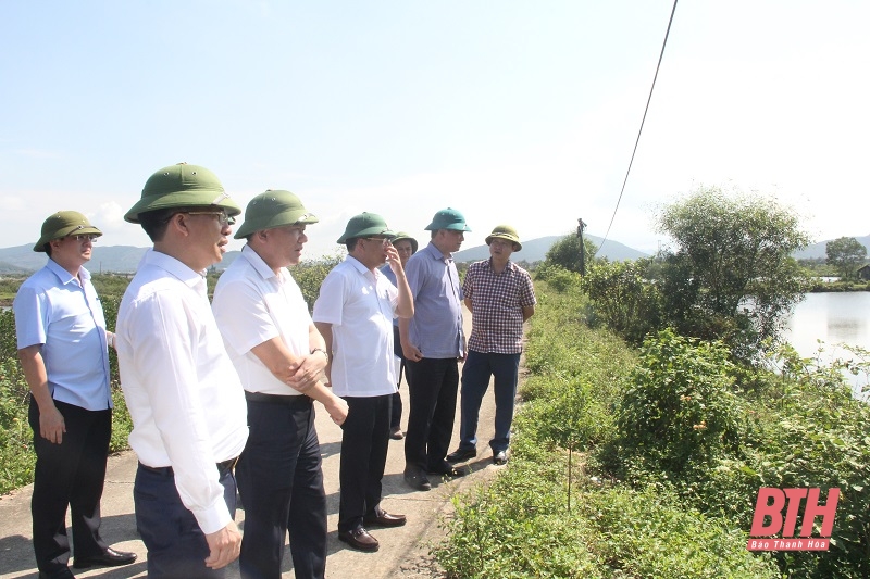 Tập trung tháo gỡ khó khăn, GPMB, đẩy nhanh tiến độ dự án các khu tái định cư và khu công nghiệp trong KKT Nghi Sơn 