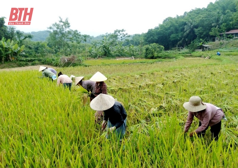 Các cấp Hội phụ nữ: Nhiều công trình, phần việc báo công dâng Bác