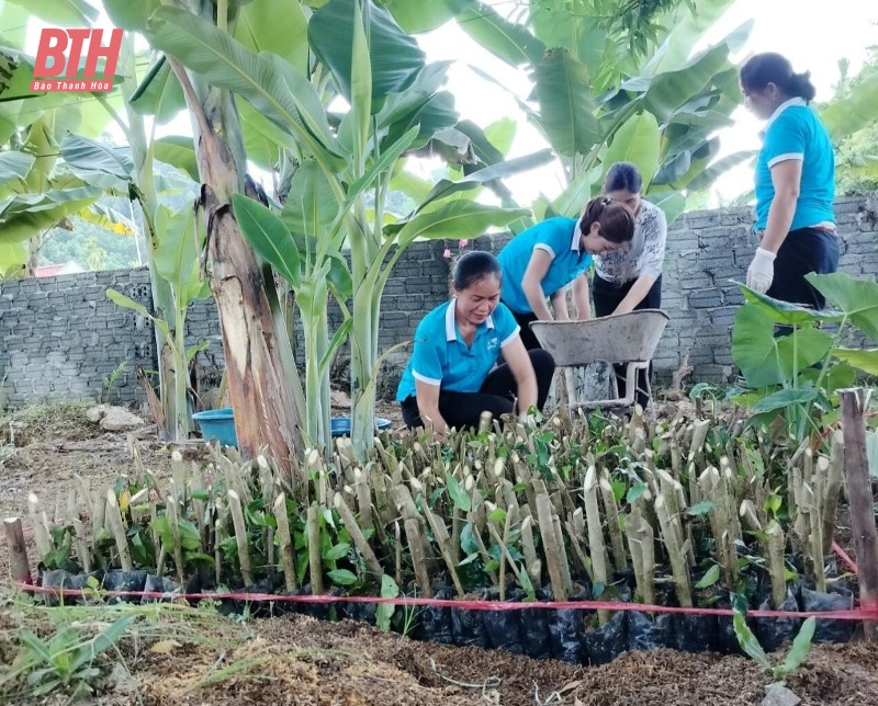 Phụ nữ Như Xuân sinh hoạt chính trị “Học tập và làm theo tư tưởng, đạo đức, phong cách Hồ Chí Minh”