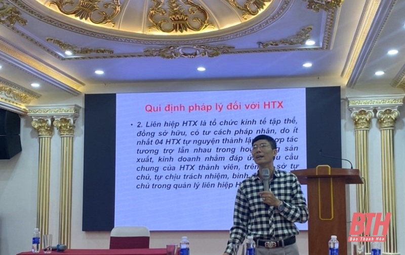 Liên minh HTX tỉnh tập huấn một số chính sách quan trọng 