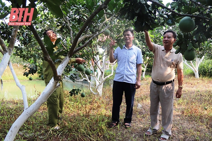 Cựu chiến binh huyện Yên Định: Vì nghĩa tình đồng đội