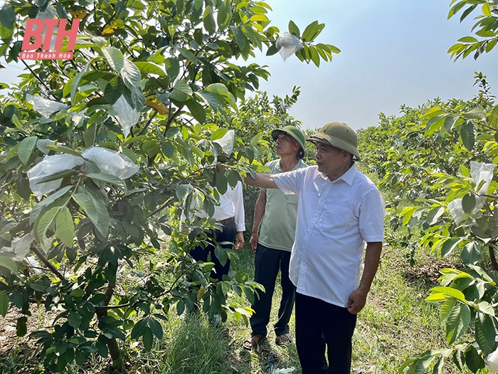 Phát huy vai trò người có uy tín trong đồng bào dân tộc thiểu số