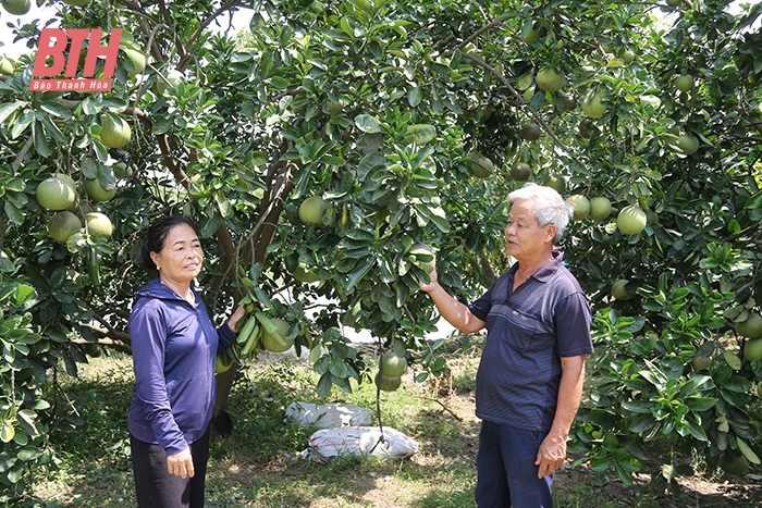 Người cao tuổi nêu gương sáng làm kinh tế giỏi