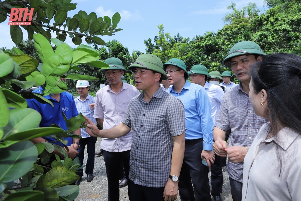 Bá Thước cần nêu cao tinh thần, trách nhiệm, đổi mới tư duy, phương pháp, cách làm theo phương châm “tư duy mở, hoạt động nhanh, nói thật, làm thật, hiệu quả thật”