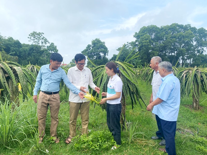 Tập huấn truyền thông về nông nghiệp nông thôn cho hơn 100 cán bộ hội, chủ trang trại, doanh nghiệp