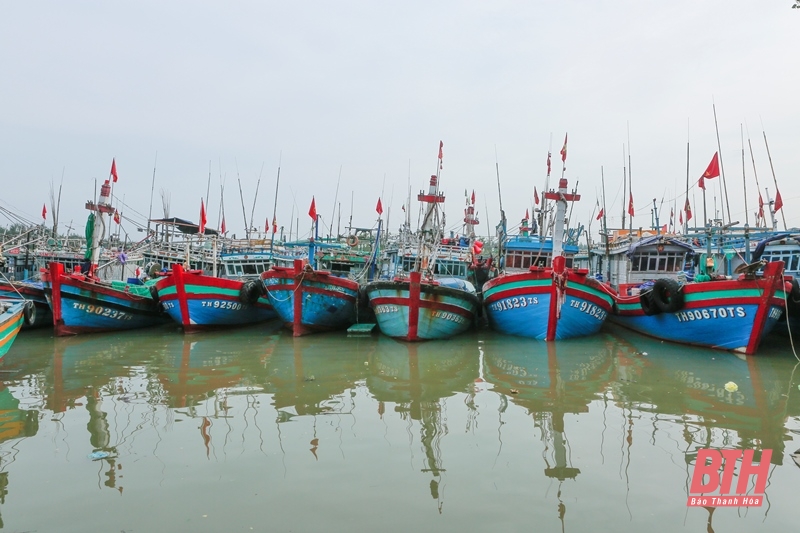 Phó Chủ tịch UBND tỉnh Lê Đức Giang kiểm tra công tác ứng phó với bão số 1 tại TP Sầm Sơn