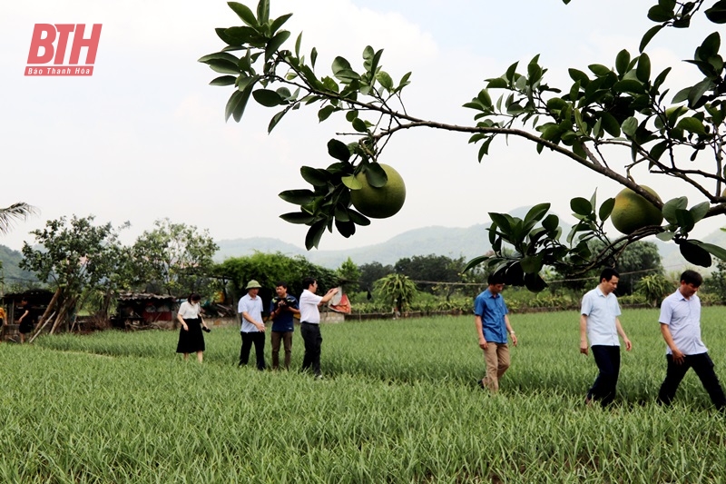 Cụm thi đua số 2 sơ kết công tác thi đua - khen thưởng 6 tháng đầu năm