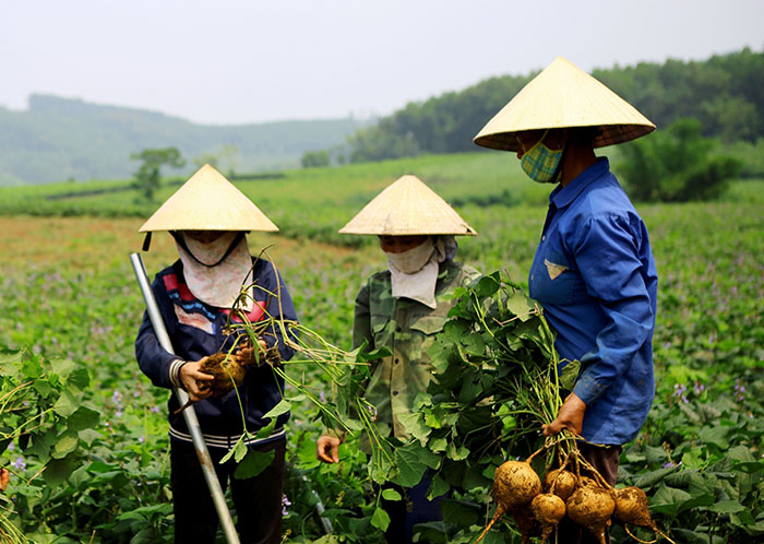 Quy chế dân chủ - “chìa khóa” trong xây dựng nông thôn mới ở huyện Cẩm Thủy