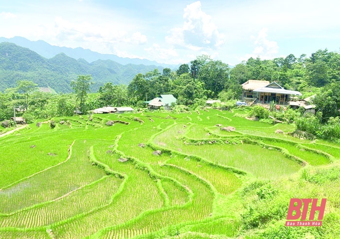 Nhân kỷ niệm 95 năm thành lập châu Tân Hóa (3-8-1928 - 3-8-2023): Huyện Bá Thước - 95 năm chặng đường hình thành và phát triển