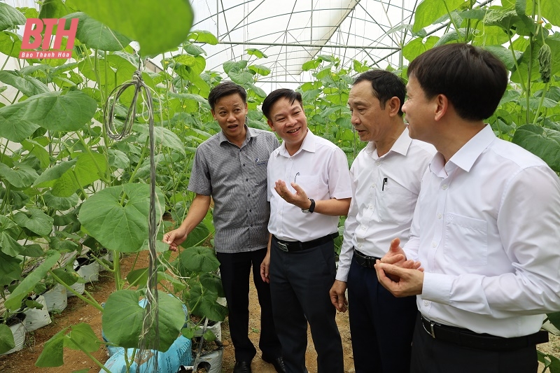 Nhiều kết quả tích cực trong thực hiện Phong trào “Toàn dân đoàn kết xây dựng đời sống văn hóa” tại huyện Thọ Xuân