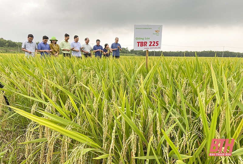 Phát huy vai trò của cộng đồng trong phát triển nông nghiệp, nông thôn