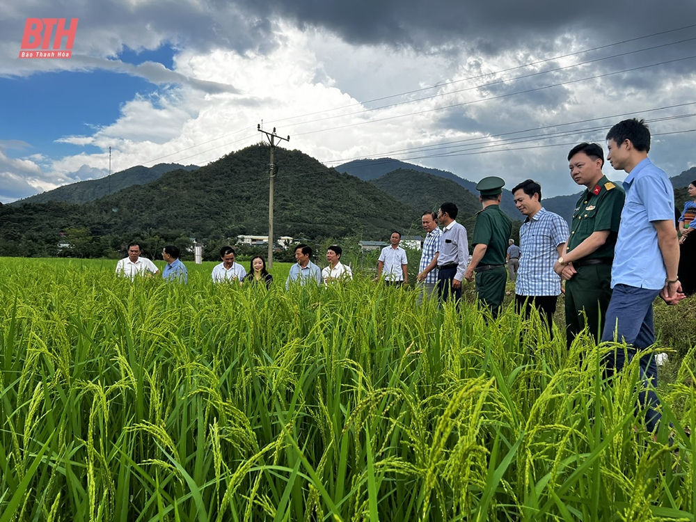 [Bài dự thi Giải Báo chí về Xây dựng Đảng năm 2023] Kỳ vọng đổi thay nơi thượng nguồn sông Mã - Bài 2: Muốn thay đổi lớn phải bắt đầu từ hành động nhỏ