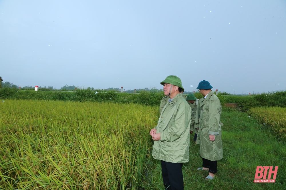 Bí thư Tỉnh uỷ Đỗ Trọng Hưng kiểm tra công tác ứng phó với mưa lớn tại huyện Như Thanh và Nông Cống