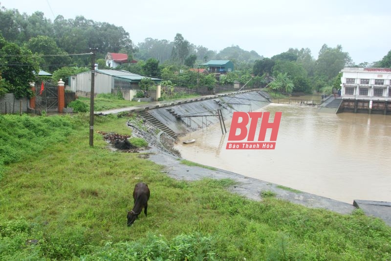 Chủ tịch UBND tỉnh Đỗ Minh Tuấn kiểm tra và chỉ đạo khắc phục hậu quả mưa lũ các huyện Hà Trung và Vĩnh Lộc