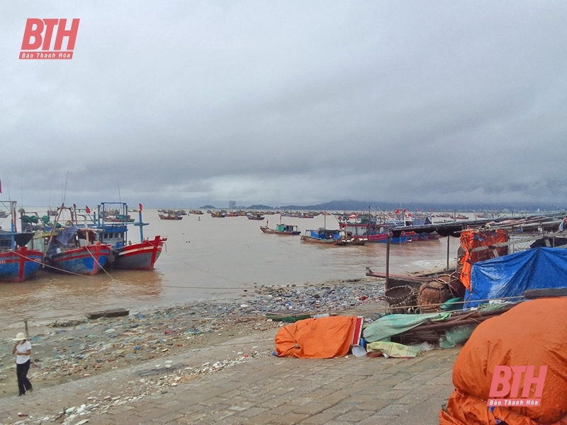 Tình hình thiệt hại và công tác triển khai, ứng phó với mưa lũ trên địa bàn tỉnh Thanh Hóa