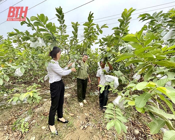 Hà Trung - Bước chuyển sau nửa nhiệm kỳ thực hiện Nghị quyết Đại hội Đảng bộ huyện lần thứ XXII (Bài 1): Phát huy vai trò nêu gương của cán bộ, đảng viên