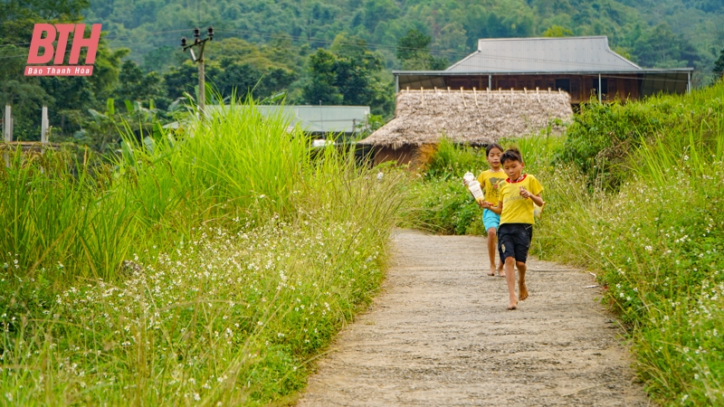 Rực rỡ mùa vàng trên đỉnh Pù Luông