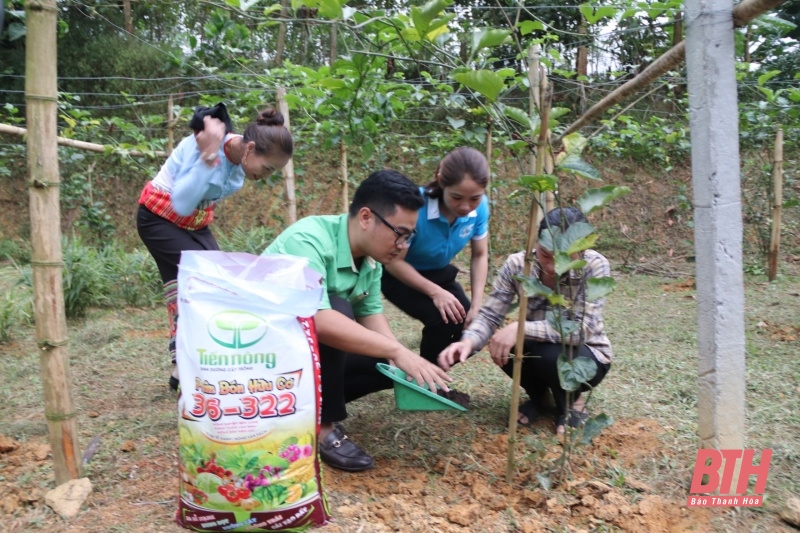 Trao vật tư cho Tổ hợp tác trồng chanh leo do phụ nữ làm chủ xã Thanh Sơn